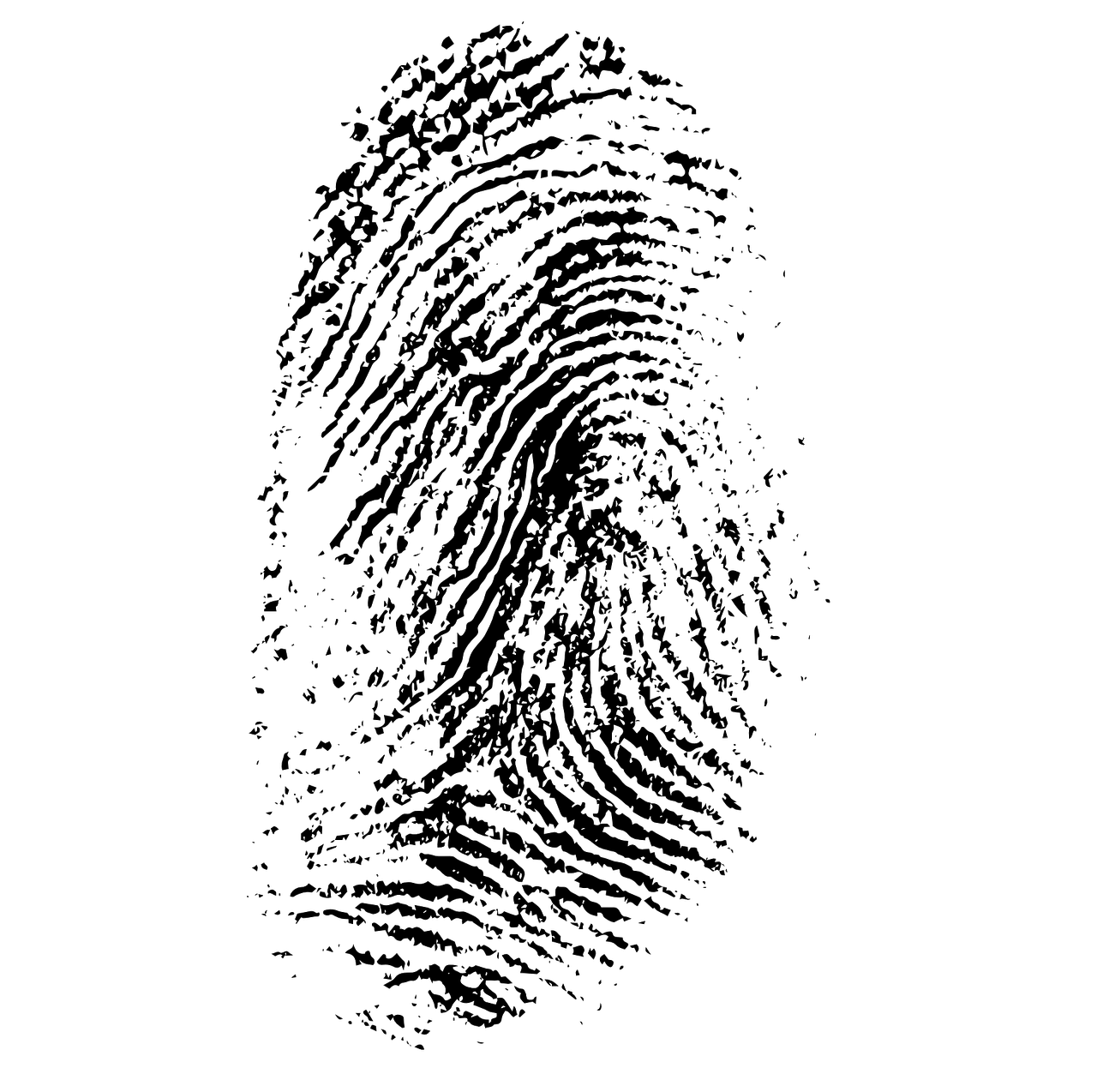 Forensisch onderzoek en dactyloscopie
